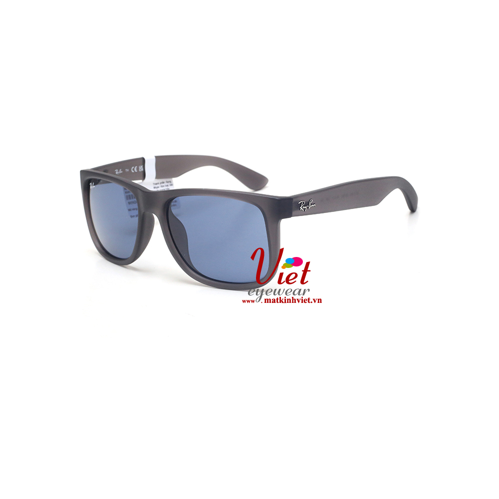 Kính mát RayBan RB4165F 6873/80